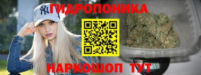 ГАЛЛЮЦИНОГЕННЫЕ ГРИБЫ Камышлов