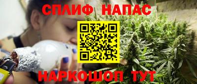 прущие грибы Кингисепп