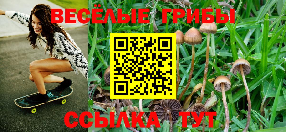 Псилоцибиновые грибы Magic Shrooms  Вход с VPN  Шарыпово  Псилоцибиновые грибы Cubensis 